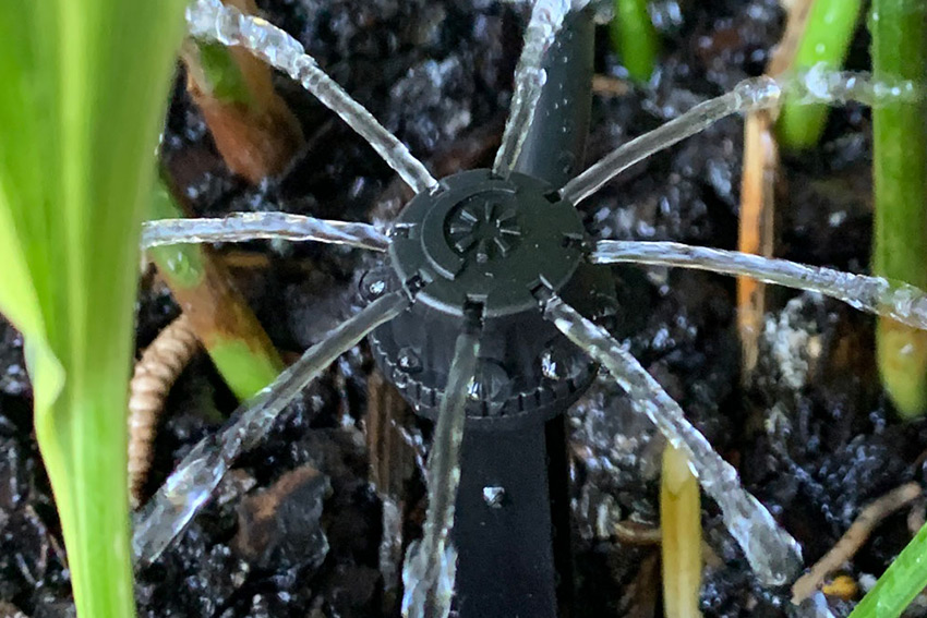 Drip Irrigation System for Shrubs & Trees